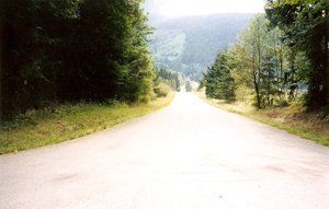 section