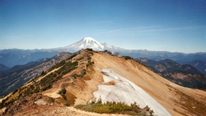 sec 6 image